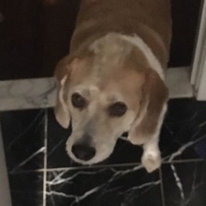 Meet your Posher, Tori